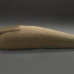 Mummified Ibis