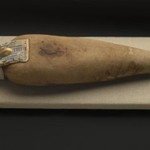 Ibis Mummy
