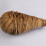Ibis Mummy
