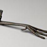 Ibis Leg and Foot