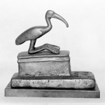 Small Coffin for an Ibis