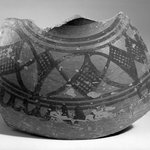 Fragment of Medium-sized Vessel