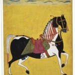 Portrait of a Stallion