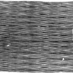 Fostat Textile Fragment