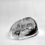 Paperweight, Plymouth Rock