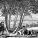Study for Caught Napping (Boys Caught Napping in a Field)