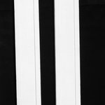 Pilaster