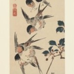 Tanzaku, Four Swallows