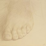 Study of a Foot