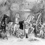 Race Horses Before the Course