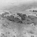 Cranberry Island Fog