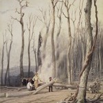 Spring--Burning Fallen Trees, in a Girdled Clearing, Western Scene