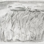 The Grasses