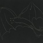 Night Series: The Bat
