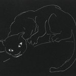 Night Series: The Cat