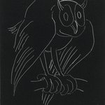 Night Series: The Owl