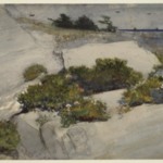 Maine Cliffs