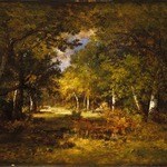 Forest Scene