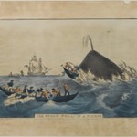The Sperm Whale in a Flurry
