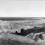 Rocky Shore
