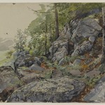 Woodland Boulders