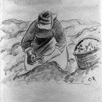 Peasant Woman Pulling Potatoes (Paysanne ramassant des pommes de terre)