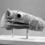 Horse Head