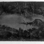 Forest Pool