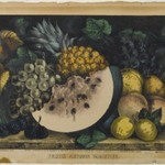 Fruits Autumn Varieties