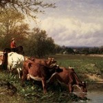 Cattle and Landscape