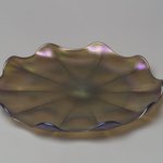 Dish