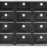 Twelve Moons