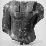 Royal Torso