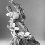 Carolina Wren with Dogwood