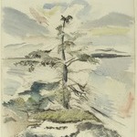 Pine Tree