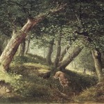 In the Forest