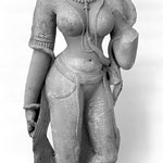 Female Torso