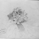 Flower Study