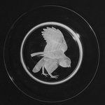 Audubon Plate