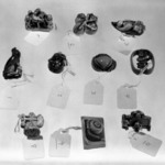Netsuke Depicting Gama Senin Looking at a Frog on his Lap