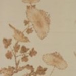 Chrysanthemums, Rock and Bird