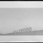 Fruit Metrecal Hollywood