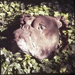 Roundel of Female Bulldog