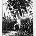 Unicorns and Tadpoles