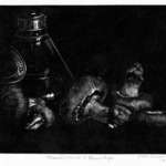 Mushrooms - Mucilage