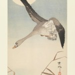 Goose Flying in Moonlight