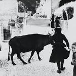 [Untitled]