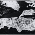 [Untitled]