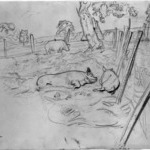 [Untitled ] (Two Sided Drawing)