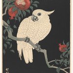 White Parrot and Pomegranate